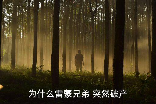 雷曼兄弟為什么破產(chǎn)，雷曼兄弟是因?yàn)槭裁炊飘a(chǎn)的