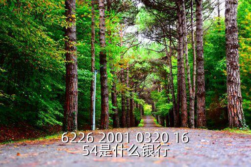 625166是什么銀行，6226 2001 0320 1654是什么銀行