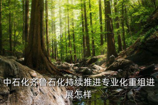 專(zhuān)業(yè)化重組是什么，股票中的重組是什么意思意味者什么對(duì)于持股人來(lái)說(shuō)是好是壞