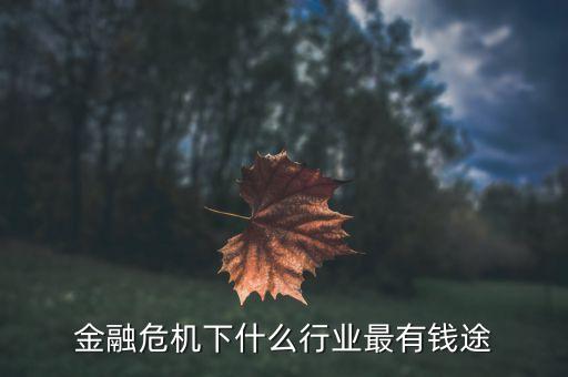 資本國家經(jīng)濟危機后什么行業(yè)掙錢，金融危機下什么行業(yè)最有錢途