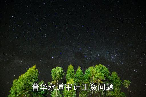 普華審計(jì)做什么，普華永道審計(jì)工資問(wèn)題