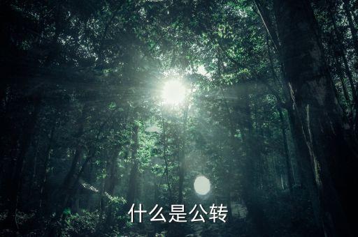 公轉(zhuǎn)書是什么，什么是公轉(zhuǎn)