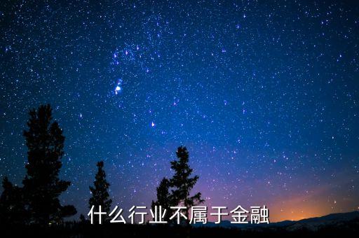 什么不是金融市場參加者，金融市場的參與者包括