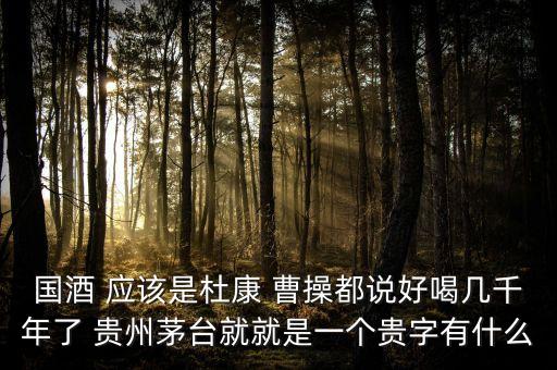 為什么不拿杜康當(dāng)國酒，為什么杜康酒沒有成為中國十大名酒之一
