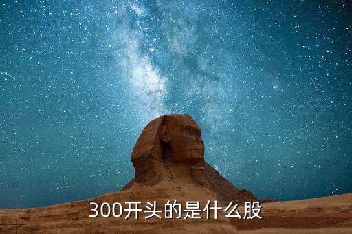 300的股票是什么股票，300開頭的股票代碼屬于什么股