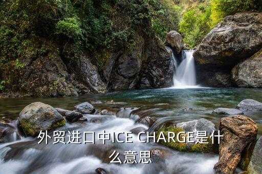 ice布油是什么，外貿(mào)進(jìn)口中ICE CHARGE是什么意思