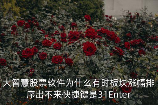 板塊排不按什么鍵，大智慧股票軟件為什么有時板塊漲幅排序出不來快捷鍵是31Enter