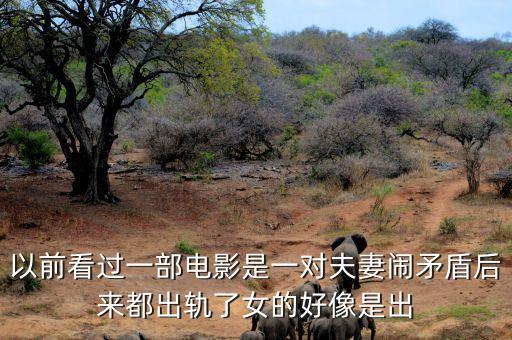 候永財執(zhí)導過什么電影，以前看過一部電影是一對夫妻鬧矛盾后來都出軌了女的好像是出