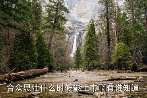 合眾思?jí)咽裁磿r(shí)候復(fù)牌，合眾思?jí)咽裁磿r(shí)候能上市啊有誰(shuí)知道