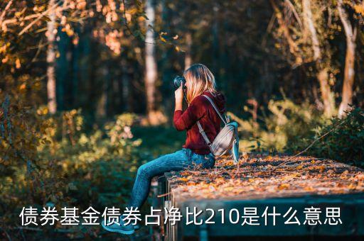 基金中的占凈比什么意思，債券基金債券占凈比210是什么意思