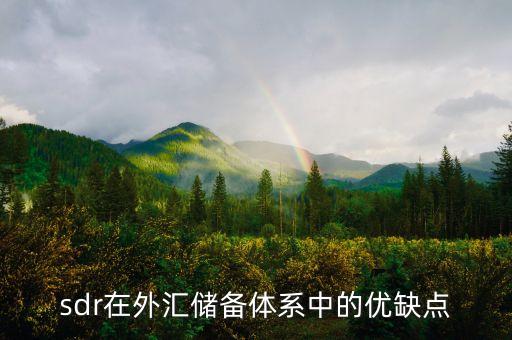 sdr工藝有什么特點(diǎn)，sdr在外匯儲備體系中的優(yōu)缺點(diǎn)