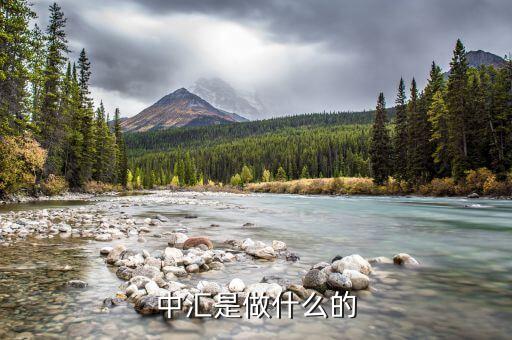 中匯事業(yè)發(fā)展部是什么，中匯集團 好像全國好多叫中匯的不是說集團公司名稱不能重復(fù)嗎