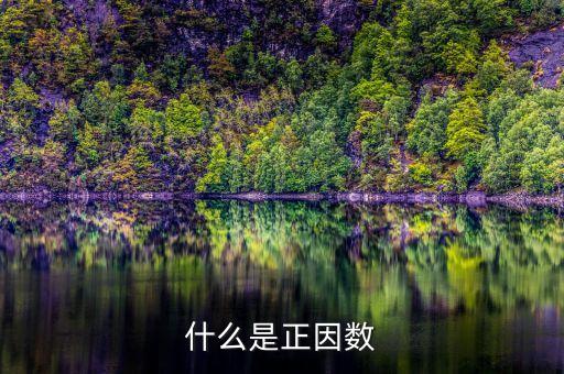 什么是正因數
