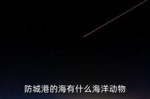 什么是沿邊金融，防城港的海有什么海洋動(dòng)物