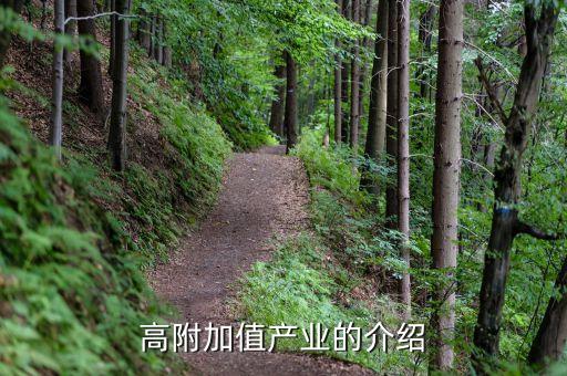 什么是高附加值產(chǎn)業(yè)，高附加值產(chǎn)業(yè)的介紹