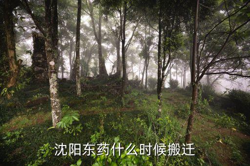 有沈陽東北制藥搬遷是什么時(shí)候嗎，沈陽東藥什么時(shí)候搬遷