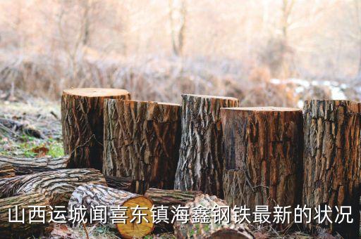 海鑫什么時候破產，山西運城聞喜東鎮(zhèn)海鑫鋼鐵最新的狀況