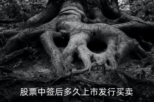 300512什么時候上市交易，股票中簽后多久上市發(fā)行買賣