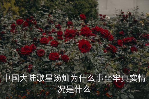 湯燦為什么要當情婦，誰知道湯燦怎么了