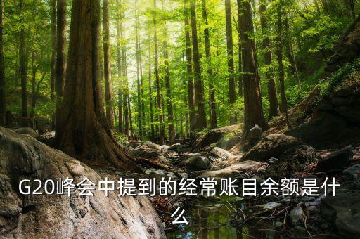 什么是經(jīng)常項(xiàng)目余額，經(jīng)常項(xiàng)目差額的什么是經(jīng)常項(xiàng)目差額