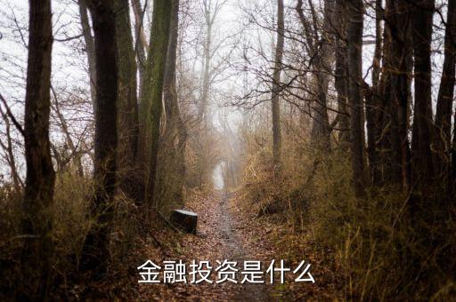 保險公司金融投資是做什么的，保險公司理財公司是干什么的