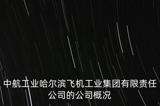 哈飛生產(chǎn)什么飛機(jī)，成飛 陜飛 哈飛 沈飛那個(gè)是中國最大的飛機(jī)制造企業(yè)