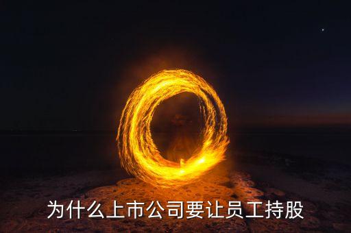 公司強迫員工入股的動機是什么，4個人的公司要求員工入股是什么目的