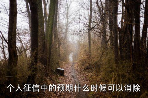 中國正信什么時候分紅，個人征信中的預(yù)期什么時候可以消除