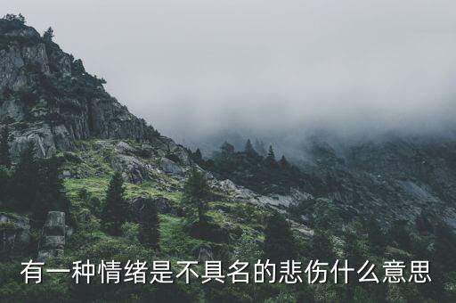 不愿具名是什么意思，有一種情緒是不具名的悲傷什么意思