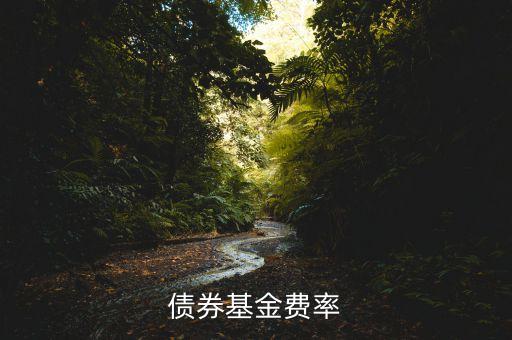 債券基金費率什么意思，債券基金費率