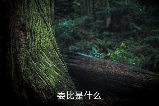 什么是委比指標(biāo)，股票里面的委比是什么意思