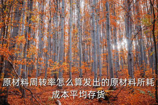 材料周轉(zhuǎn)率是什么，90原材料周轉(zhuǎn)率周轉(zhuǎn)天數(shù) 什么意思