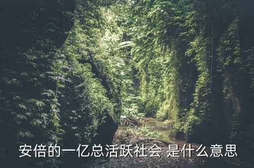 一億總活躍社會是什么， 安倍的一億總活躍社會 是什么意思