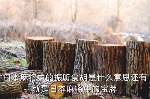 匯盈貸是什么，日本麻將中的振聽食胡是什么意思還有就是日本麻將中的寶牌