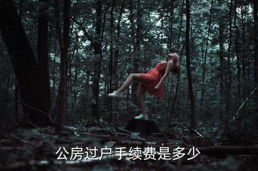 公房使用權轉讓需要交什么錢，公租房使用權交易如何收費