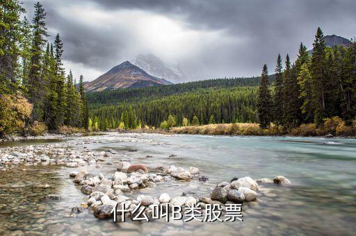 分級(jí)股b什么意思，分級(jí)基金b和b股一樣嗎