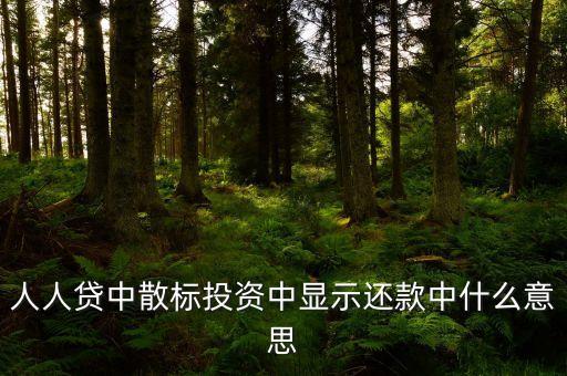 散標(biāo)是什么意思，散標(biāo)是什么