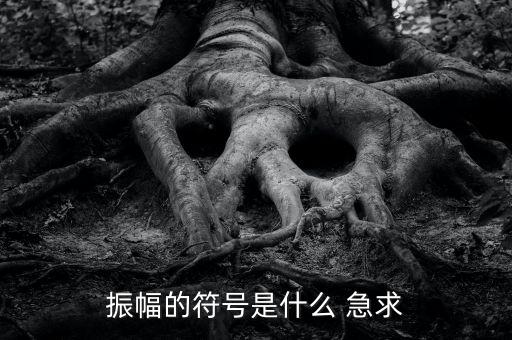什么振幅，振幅的符號是什么 急求
