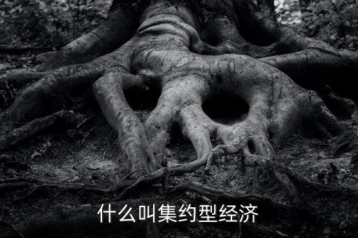 什么叫產(chǎn)融結(jié)合，什么叫集約型經(jīng)濟(jì)