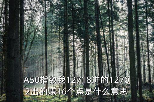 a50指數(shù)1510是什么，A50指數(shù)我12718進的12702出的賺16個點是什么意思