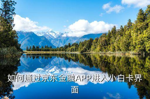 登陸京東金融后進入什么頁面，京東金融app借錢界面在哪里啊
