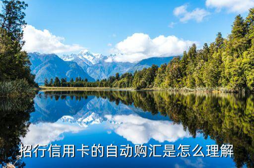 自動(dòng)購(gòu)匯轉(zhuǎn)出什么意思，什么是中國(guó)銀行信用卡的外幣自動(dòng)購(gòu)匯