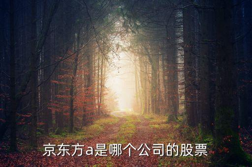 京東方a是什么企業(yè)，京東方A董事長是誰是什么企業(yè)