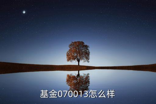 070013基金是什么基金，基金070013前面加of什么意思