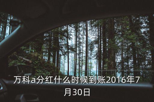 利君2016年的分紅什么時(shí)候到帳，2016年十二月以后垮行轉(zhuǎn)賬最遲多久到帳