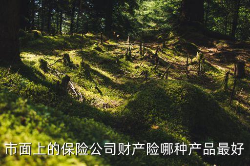 國外財險公司什么險種最火，市面上的保險公司財產(chǎn)險哪種產(chǎn)品最好