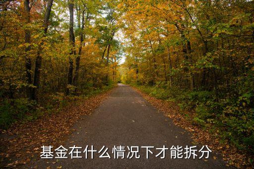165523基金什么時候下拆了，基金在什么情況下才能拆分