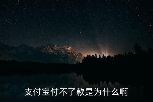 手機(jī)支付寶為什么不能付款，支付寶付不了款是為什么啊