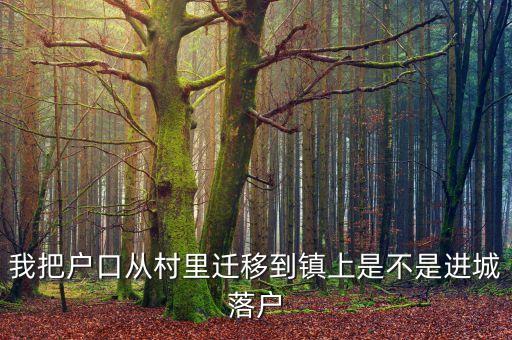 進(jìn)城落戶是什么意思，進(jìn)城務(wù)工人員隨遷子女是什么意思