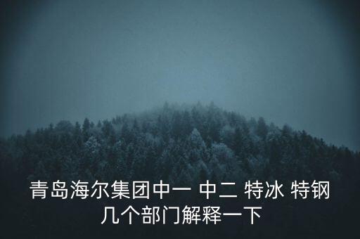 海爾內(nèi)銷是什么意思，有帶鎖的冰箱么冷藏冷凍功能都要有的謝謝